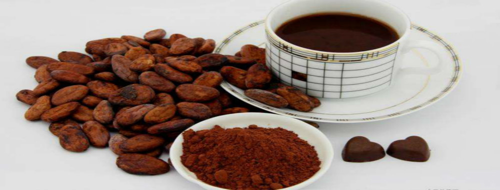 jakość Alkaliczny proszek kakaowy Usługa