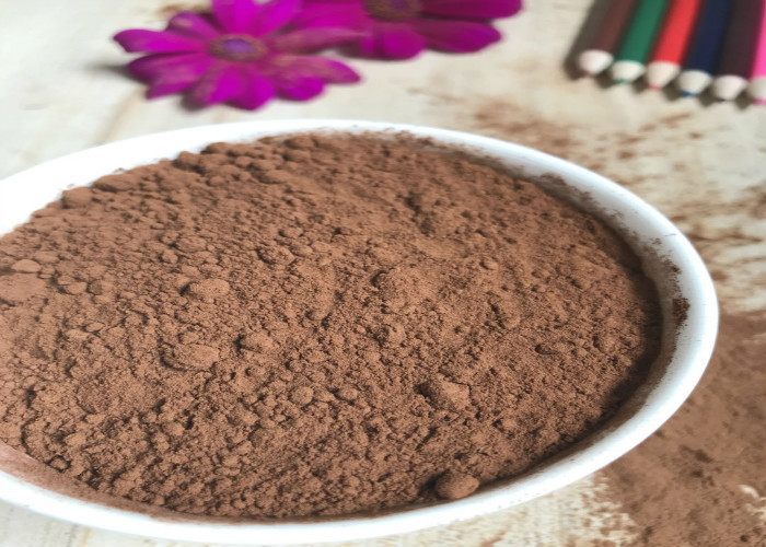 Ciemnobrązowy ≥99 Alkalizowany proszek kakaowy o charakterystycznym smaku kakaowym